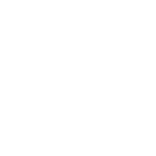 Immigration & Visa Services
